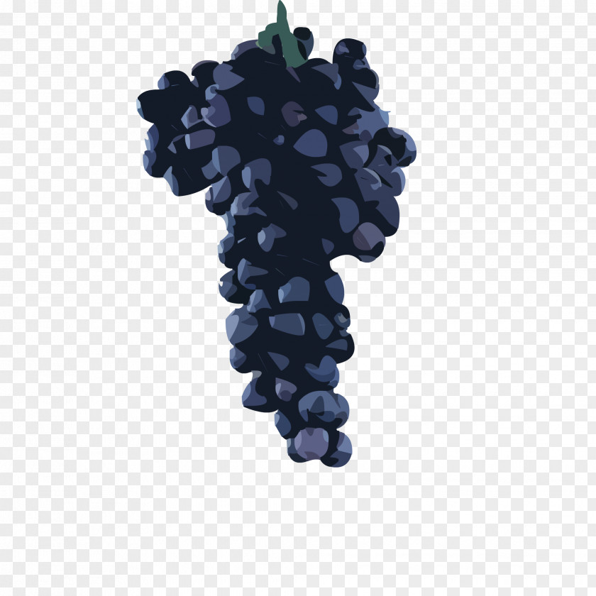 Grape Sultana Clavulinopsis Corallinorosacea Clavaria Zollingeri Game PNG