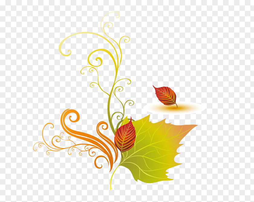 Hand-painted European-style Maple Leaf Clip Art PNG