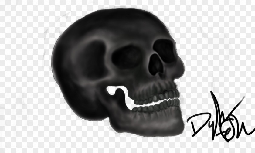 Skull White Font PNG