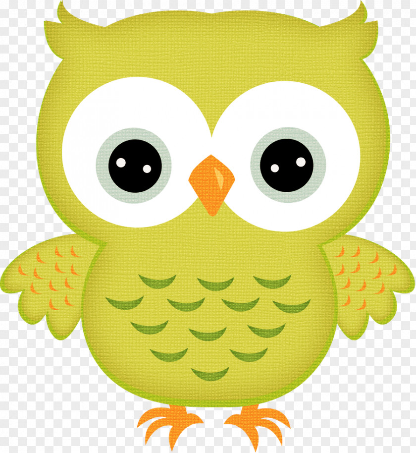 Aygul Barieva Little Owl Animation Bird Clip Art PNG