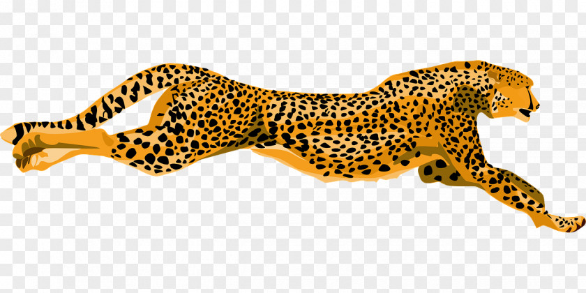 Flying Leopard Cheetah Jaguar Clip Art PNG