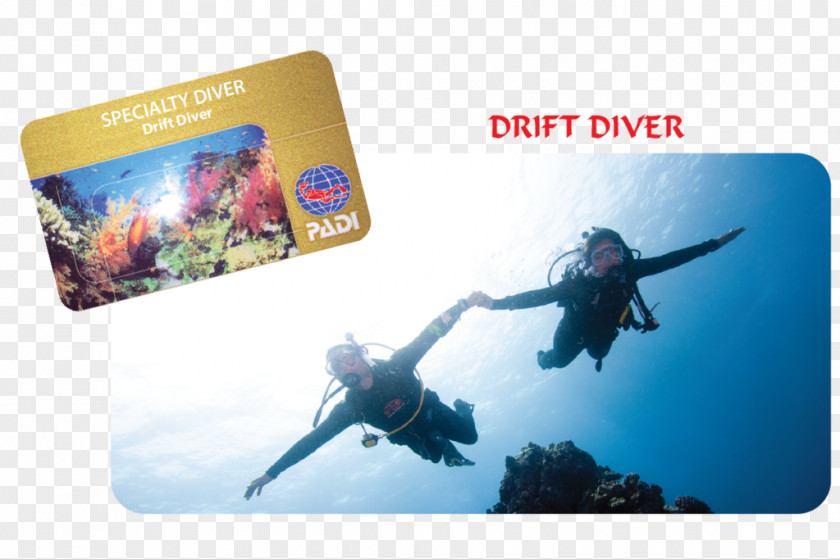 Professional Association Of Diving Instructors Scuba Drift Underwater Open Water Diver PNG