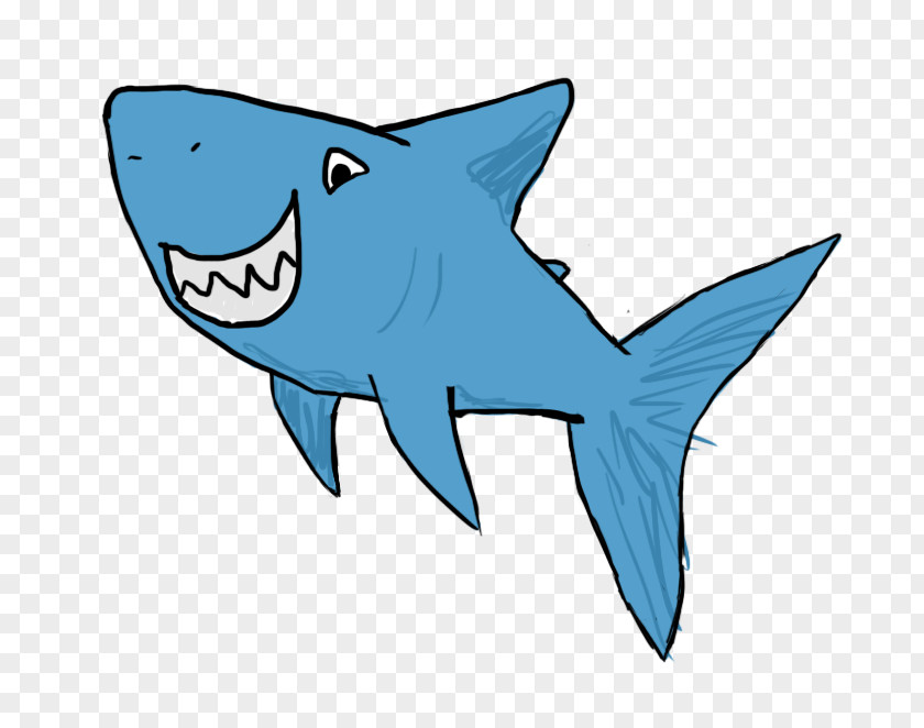 Shark Requiem Sharks Sketch PNG