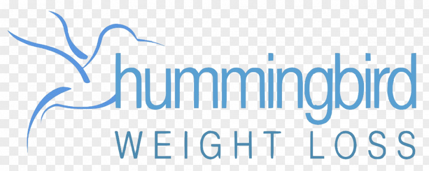 Design Logo Brand Hummingbird PNG