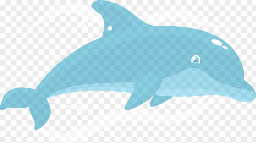 Dolphin Common Bottlenose Tucuxi Short-beaked Rough-toothed Wholphin PNG