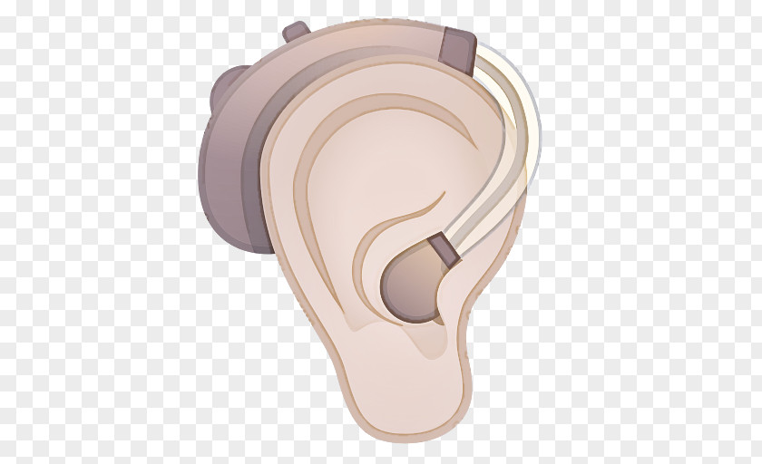Hearing Science Physics Biology Nervous System PNG