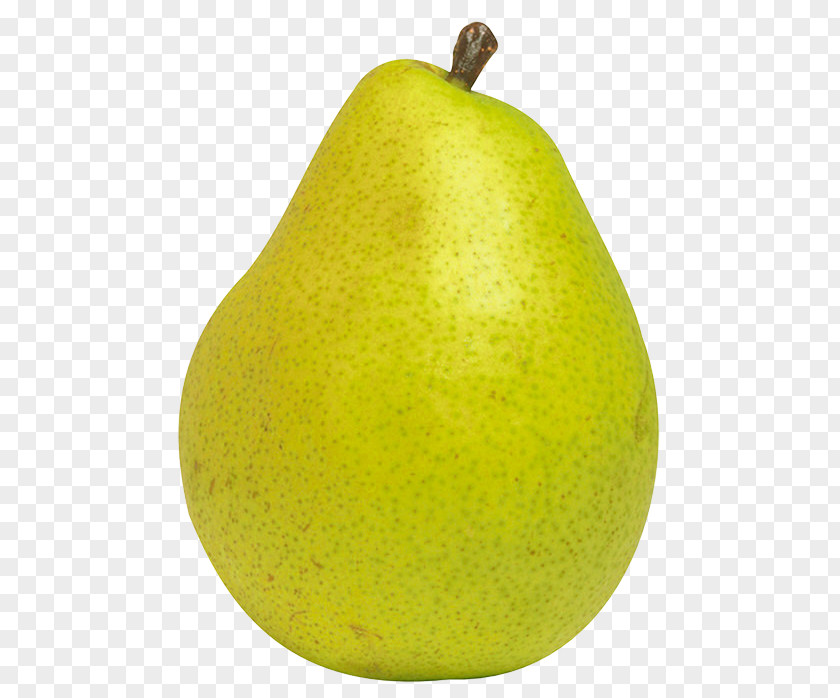 Icon Download Pear Fruit Clip Art PNG