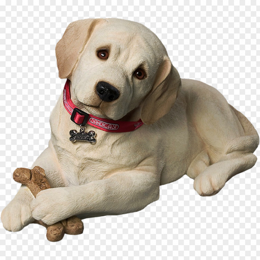 Labrador Retriever Puppy Standard Schnauzer Golden Miniature Pinscher PNG