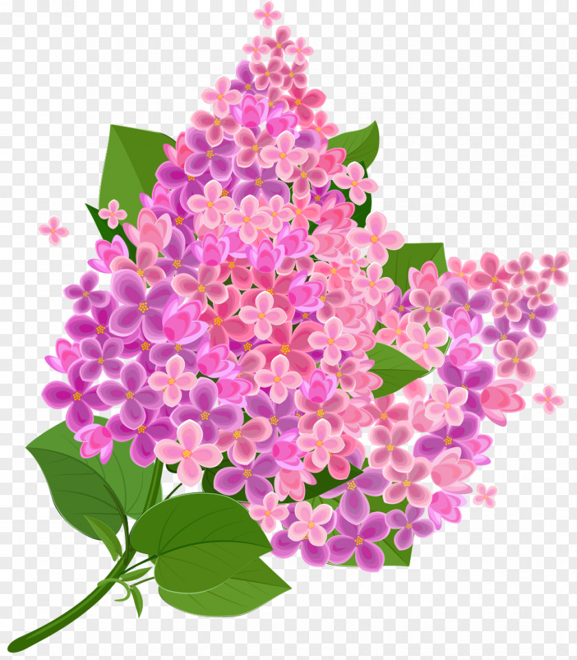 Lilac Common Stock Photography Royalty-free Clip Art PNG