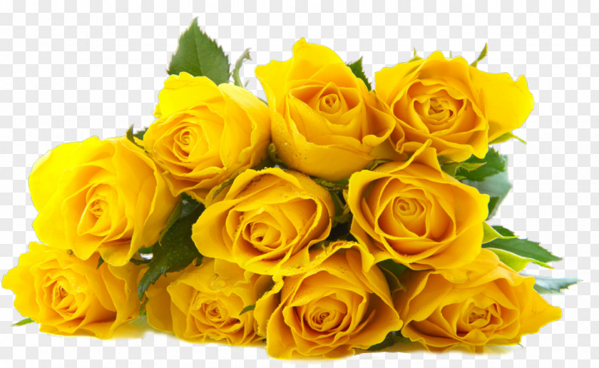 Rose Flower Bouquet Yellow PNG