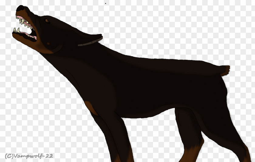 Jagdterrier Hunting Dog Drawing PNG