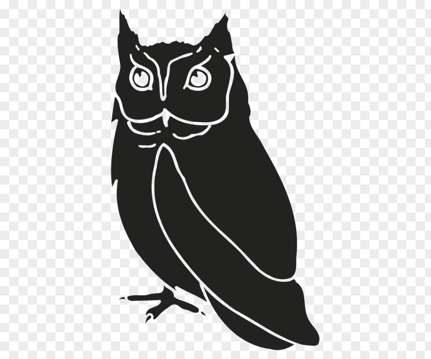 Owl Cat Clip Art Beak Character PNG