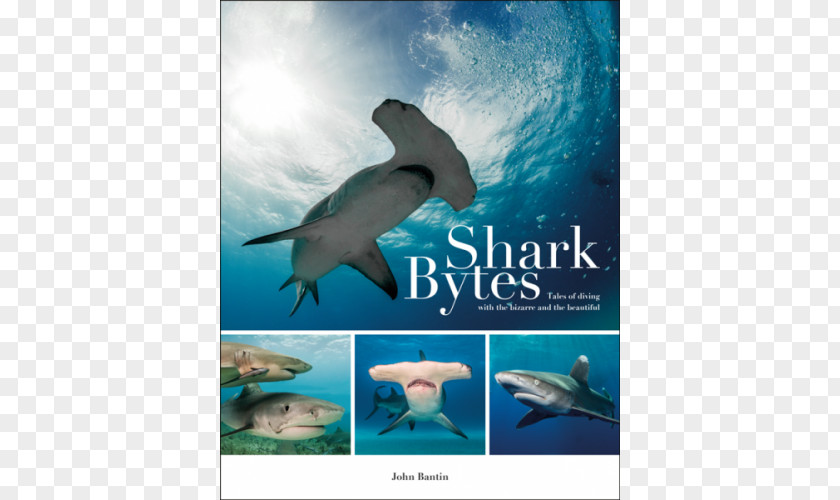 Shark Bytes: Tales Of Diving With The Bizarre And Beautiful Common Bottlenose Dolphin Amazing Stories: Incredible From Deep Beneath Sea Wholphin PNG