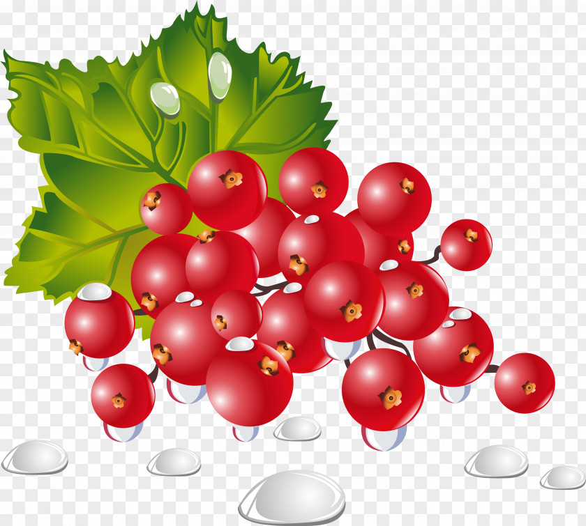 Berries Vegetable Fruit Berry Food Dish PNG