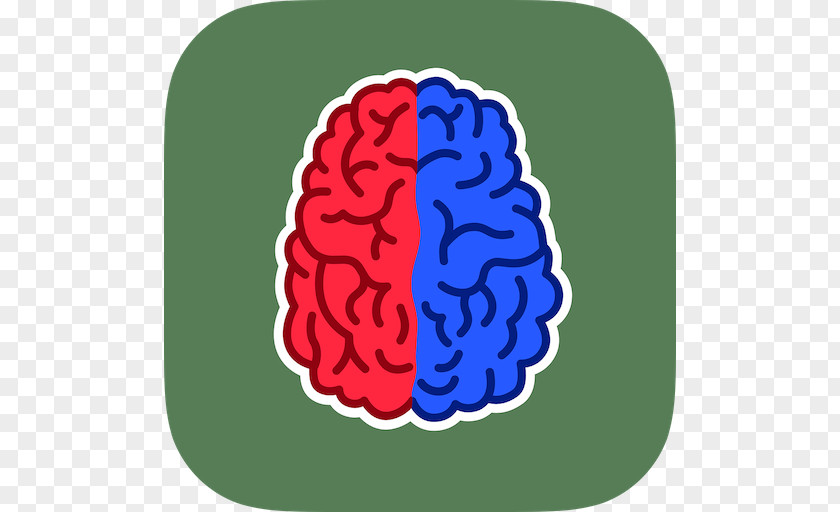 Brain Left Vs Right: Training Exercise Cognitive Lateralization Of Function PNG