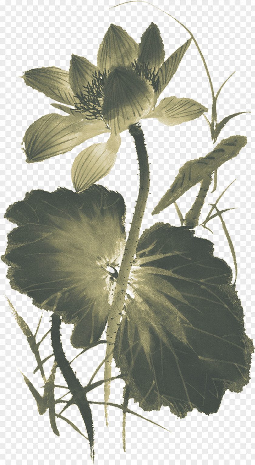Flower, Lotus, Lotus Ink, Taobao Material Ink Wash Painting Chinese Nelumbo Nucifera Bird-and-flower PNG
