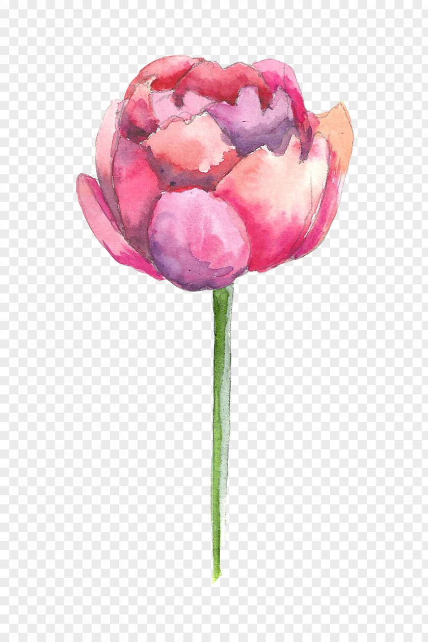 Hand Painted Watercolor Flowers Watercolour Painting PNG
