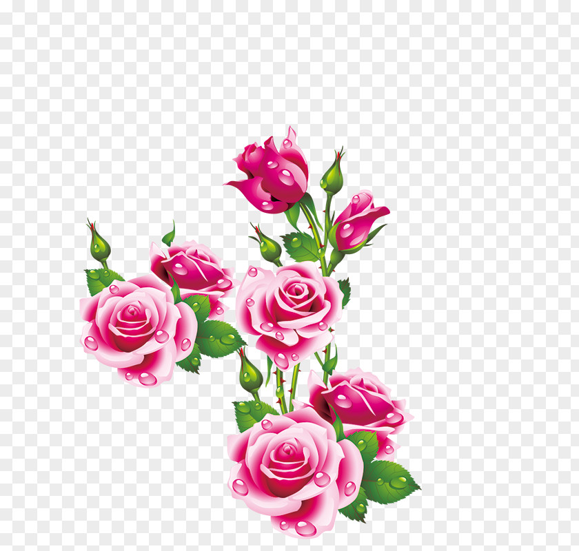 Peony Birthday Holiday Happiness Name Day Joy PNG