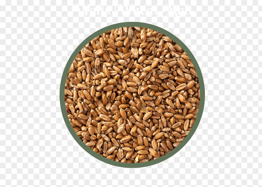 Beer Cereal Germ Malt Whole Grain PNG