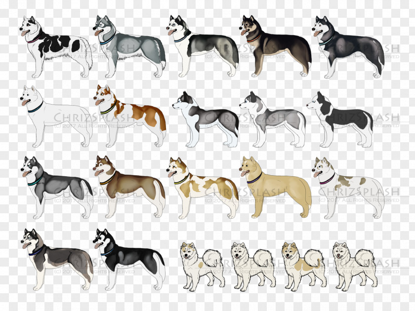 Dog Breed Non-sporting Group Snout PNG