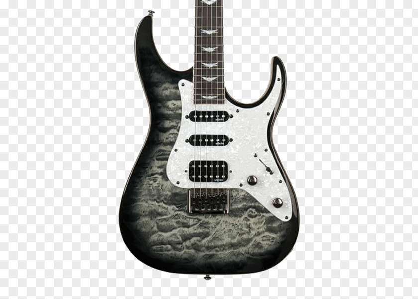 Electric Guitar Bass Schecter Research Solid Body PNG