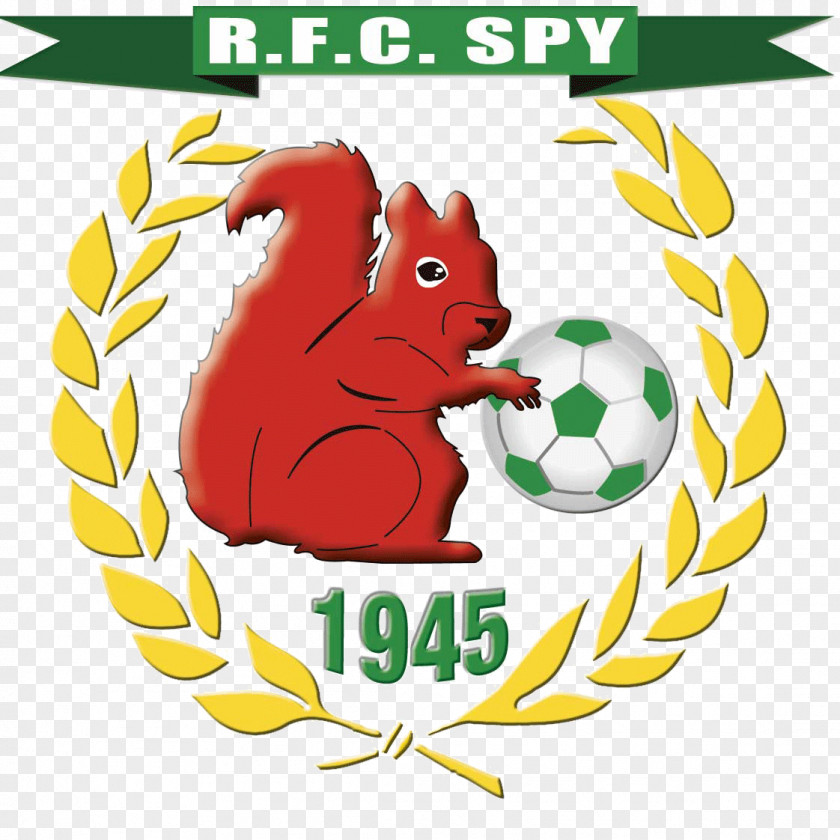 Spy Vs RFC Francs Borains RAAL La Louvière US Solrézienne Belgian Fourth Division PNG
