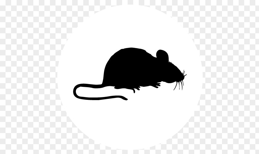 Computer Mouse Rat Decal Mats PNG