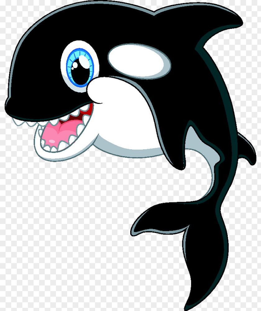 Cute Dolphin Cartoon Killer Whale Clip Art PNG