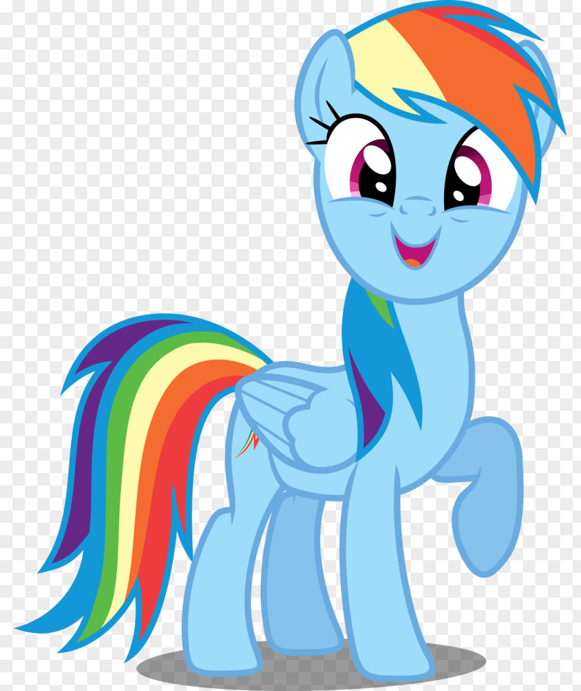 Dash Twilight Sparkle Rainbow My Little Pony PNG
