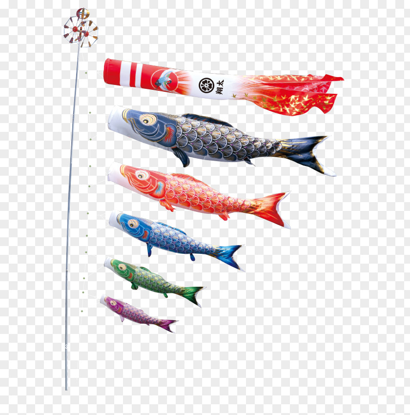 KOINOBORI Koinobori Tokunaga Flying Carp 端午 Children's Day Windsock PNG