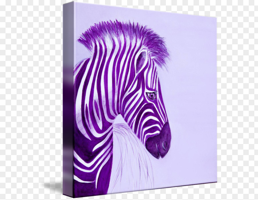 Purple Quagga Gallery Wrap Painting Canvas PNG