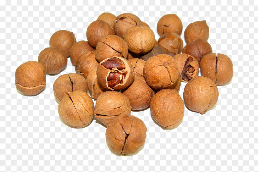 Walnut Cream Juglans Pecan Nutrition PNG