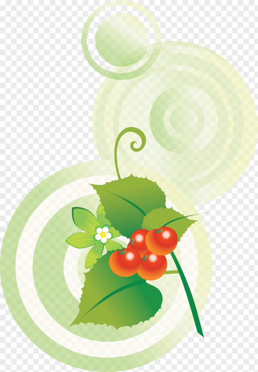 Yw Illustration Clip Art Floral Design Leaf PNG