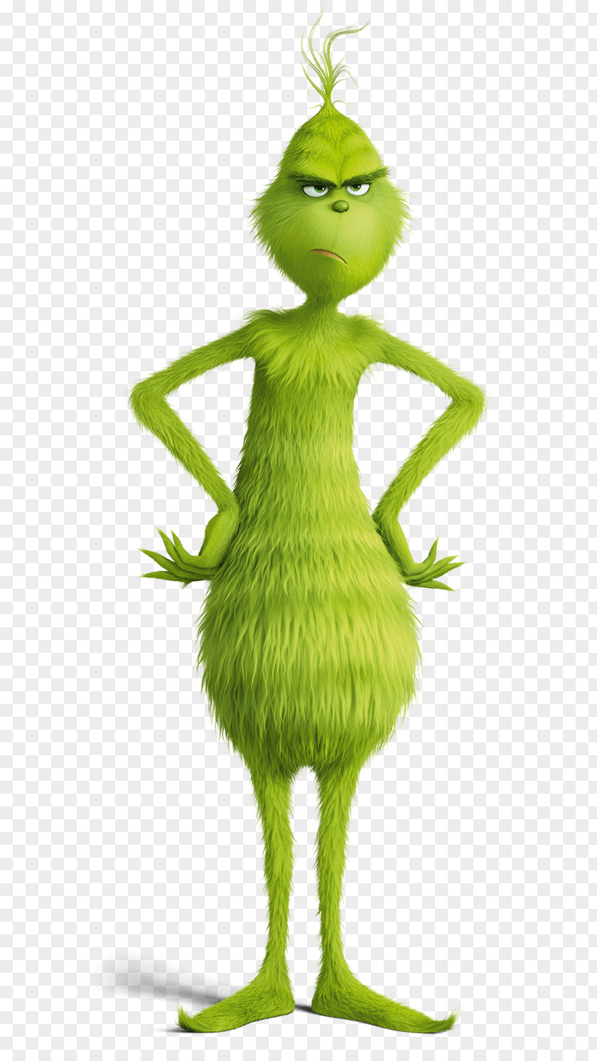 Animation Green PNG