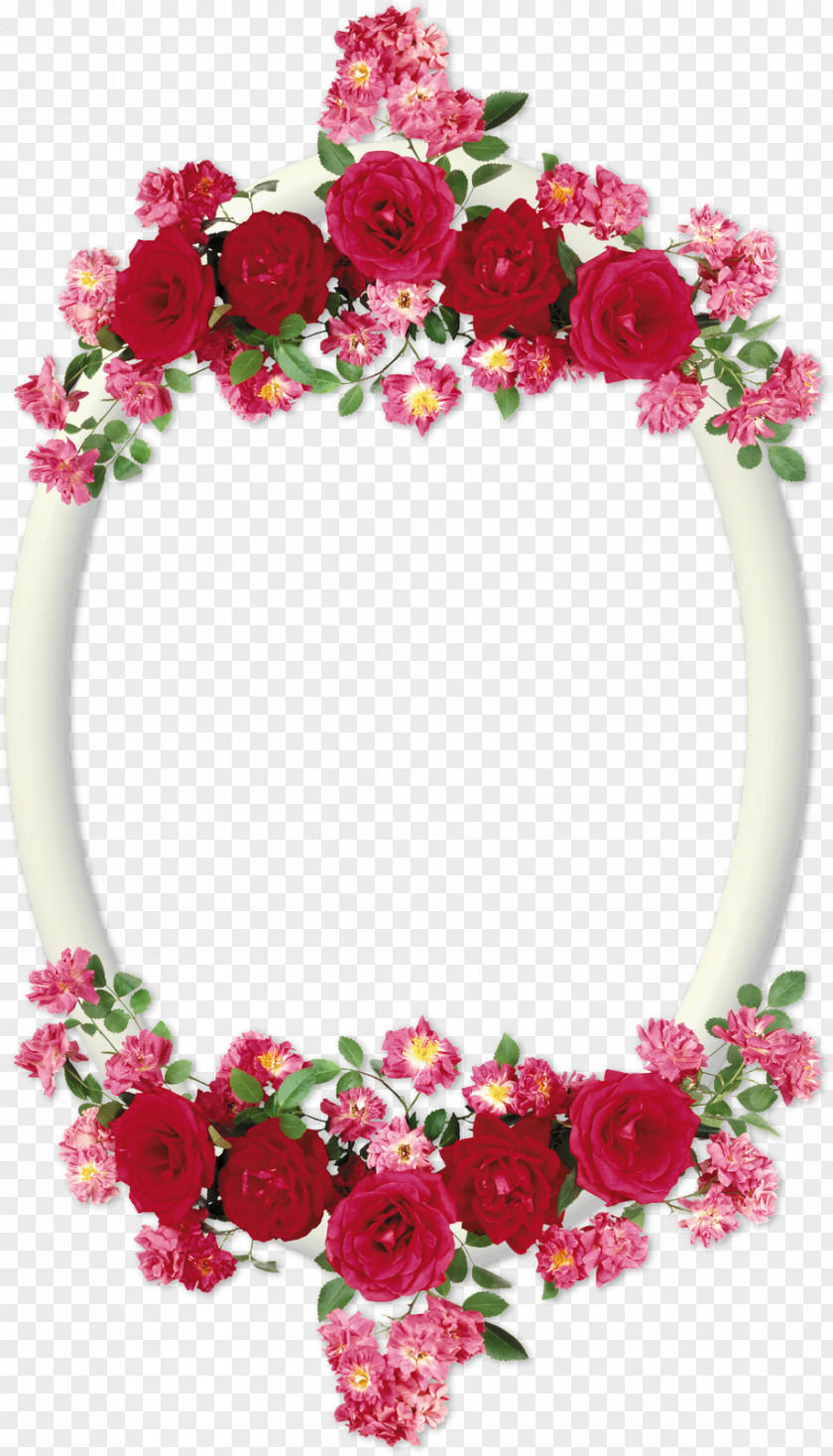 Borders Picture Frames Photography Pink PNG