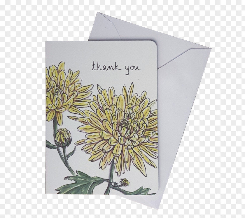 Chrysanthemum White Greeting & Note Cards Paper Gift Post Flower PNG