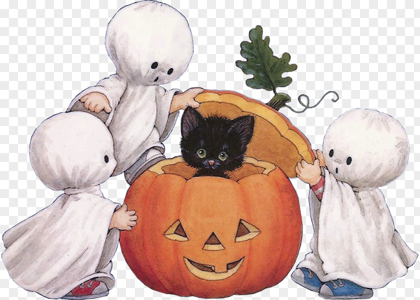 Kitten Halloween Cat Pumpkin 31 October PNG