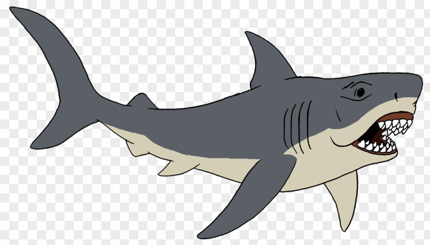 Shark Tiger Requiem Sharks PNG