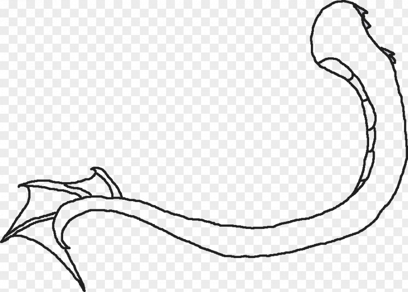 Tail Clipart Outline Mammal Line Art Clip PNG