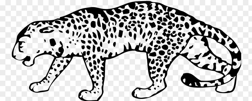 Black Panther Snow Leopard Felidae Clip Art PNG
