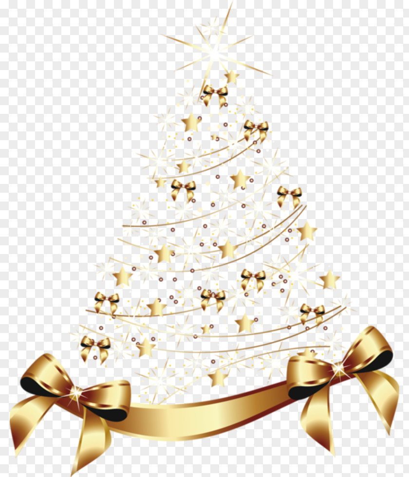 Christmas Tree Balsam Fir PNG