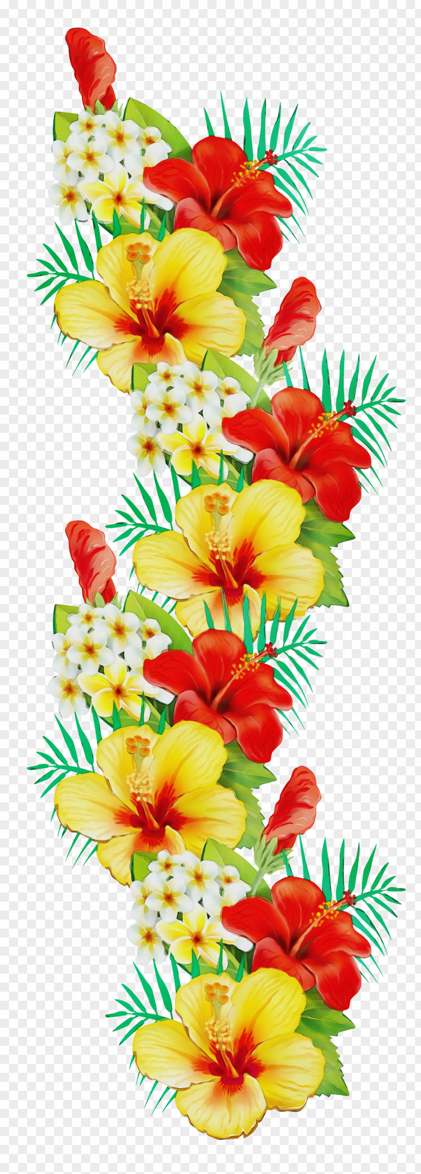 Cut Flowers Flower Bouquet Floral Design Petal PNG