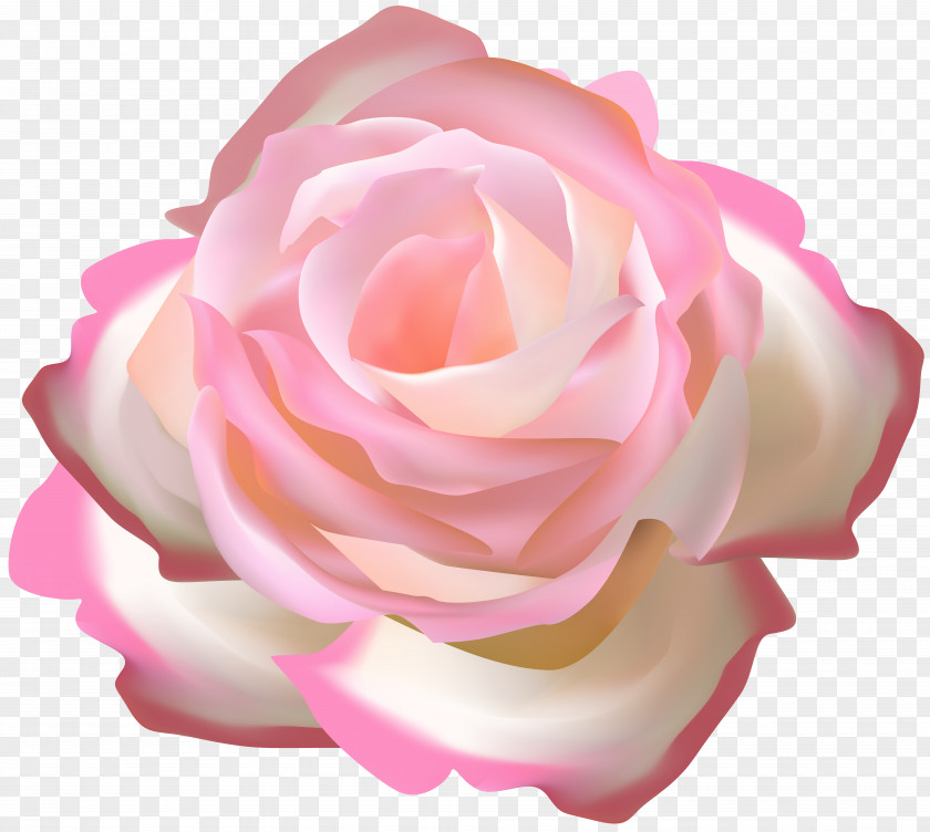 Decorative Petal Rose Garden Roses Clip Art Floral Ornament Transparency PNG