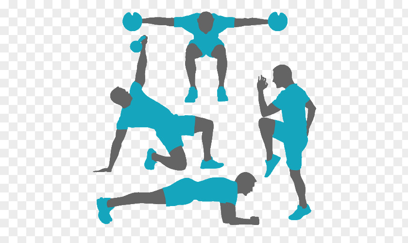 Fitness Centre Personal Trainer Physical Exercise High-intensity Interval Training PNG