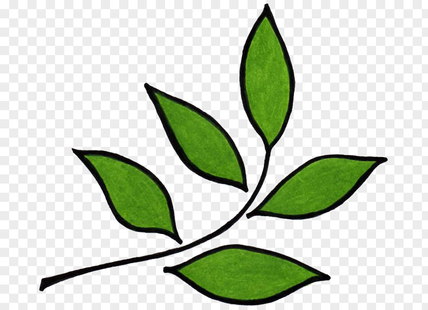 Logo Leaf Trisara Garden Organic Food Agriculture Manure PNG