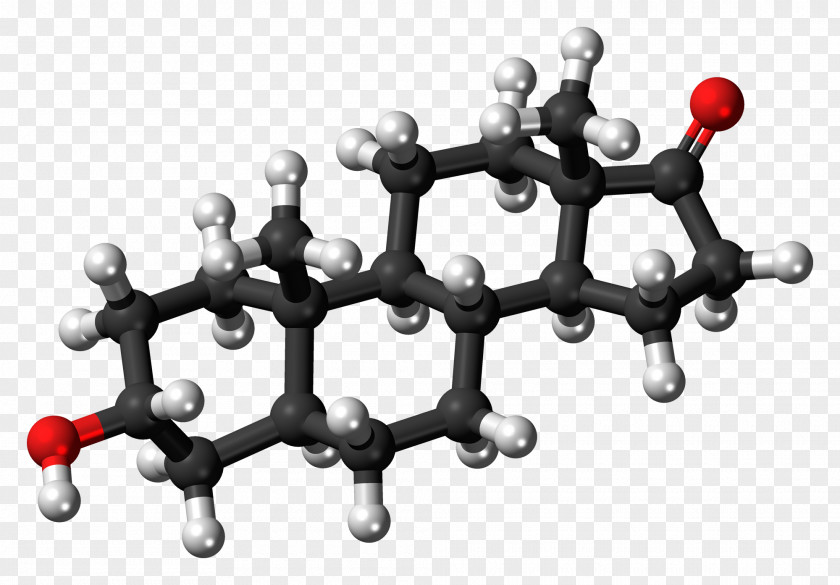 Progesterone Allopregnanolone Progestogen Molecule Progestin PNG