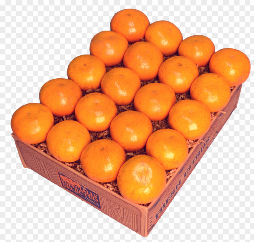 Tangerine Mandarin Orange Clementine Tangelo PNG