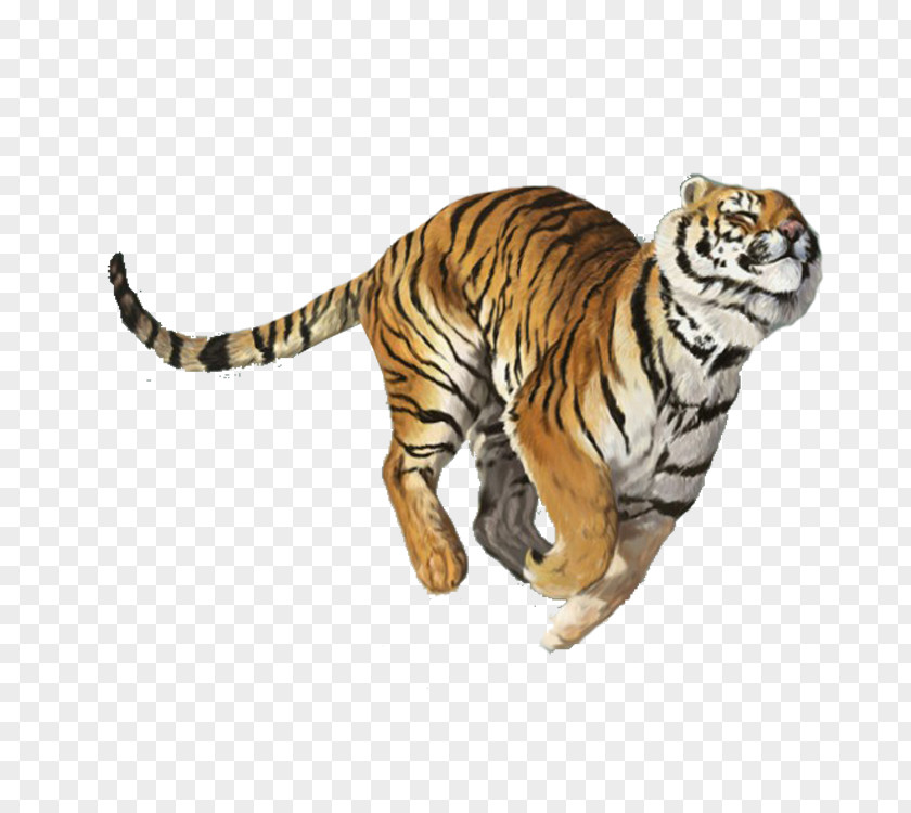 Tiger Creative Balm Nuchal Rigidity PNG