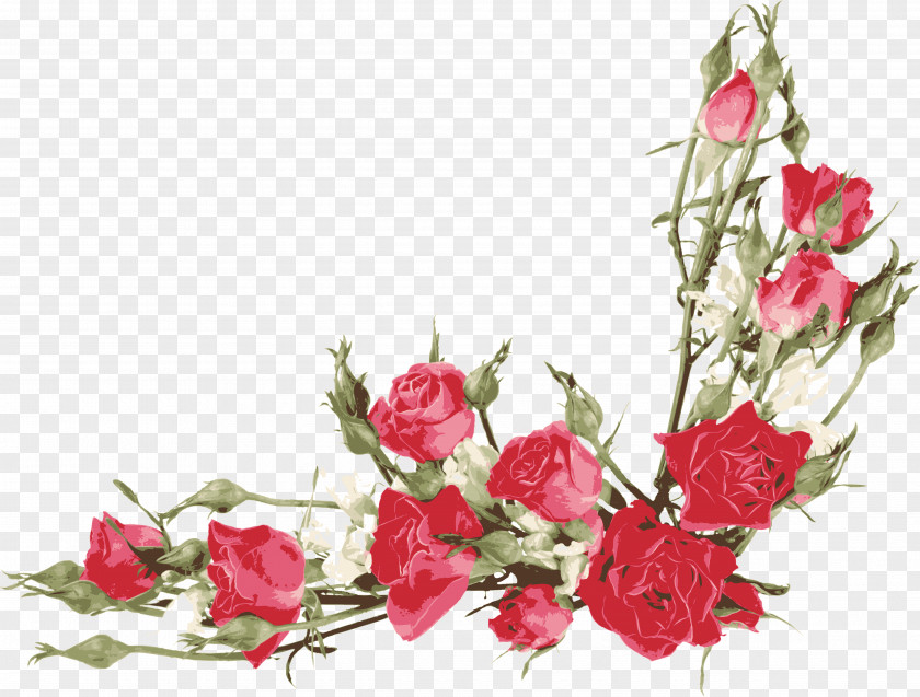 Watercolor Roses Rose Flower Petal Clip Art PNG