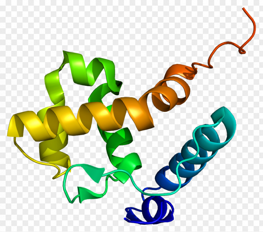 ARID1B SWI/SNF Protein SMARCA2 SMARCB1 PNG